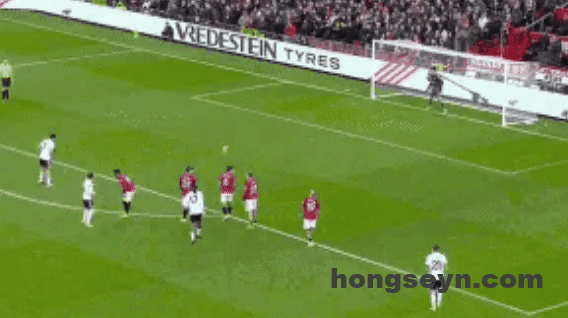 16946622g00t9sfcz07wud000fs008um